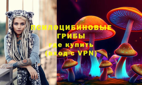 индика Медногорск