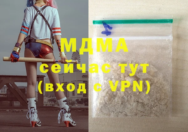 индика Медногорск