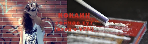 индика Медногорск