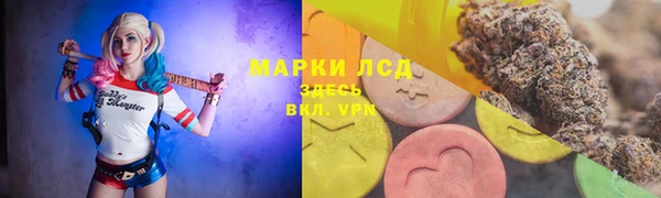 сатива Мегион