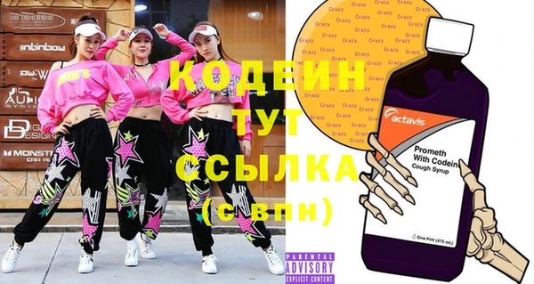индика Медногорск