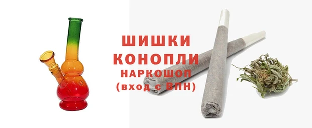 индика Медногорск