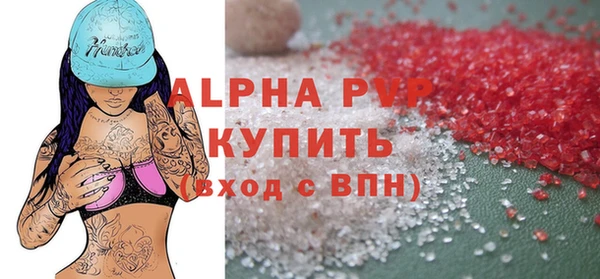 индика Медногорск