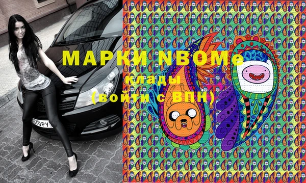 стаф Майский
