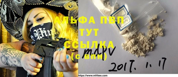 индика Медногорск