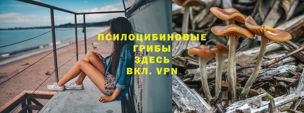 мдма Медвежьегорск