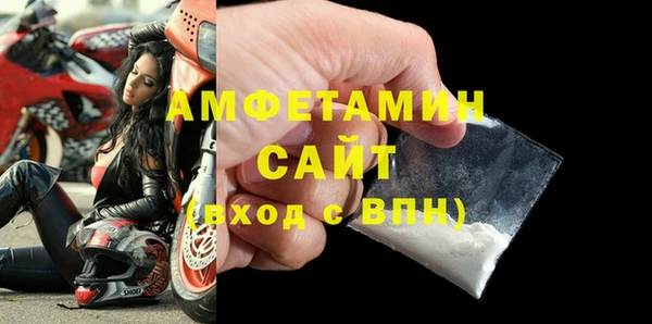 амф Ельня
