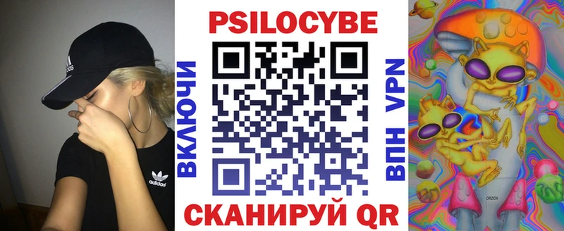 Псилоцибиновые грибы Psilocybine cubensis  наркотики  Жуков 